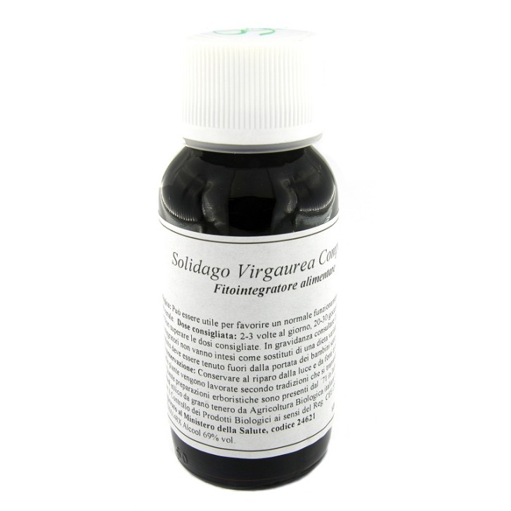 LVS 07N SOLIDAGO VIRGAURE COMP