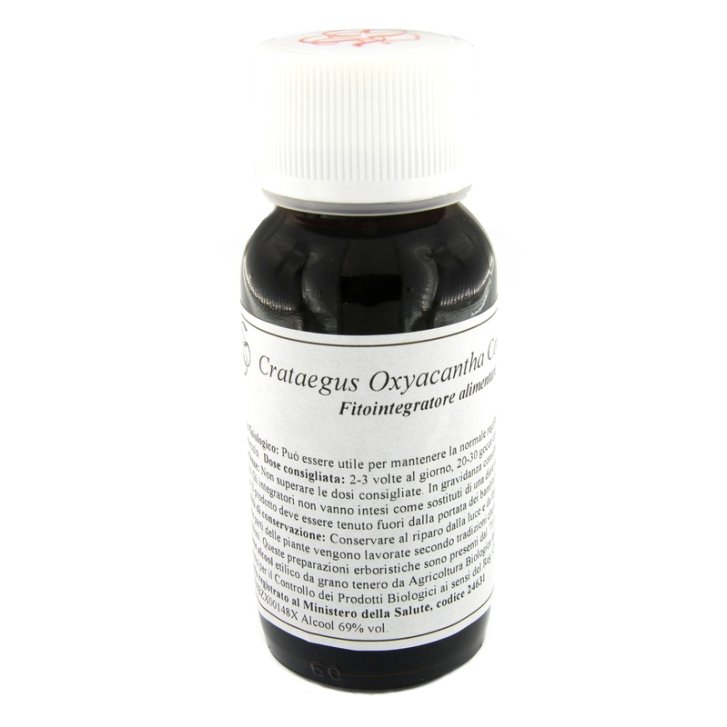 17S CRATAEGUS OXYACANT COMP LVS