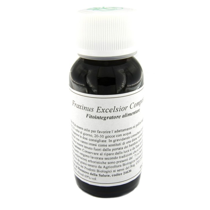 22N FRAXINUS EXCELSIOR COM LVS