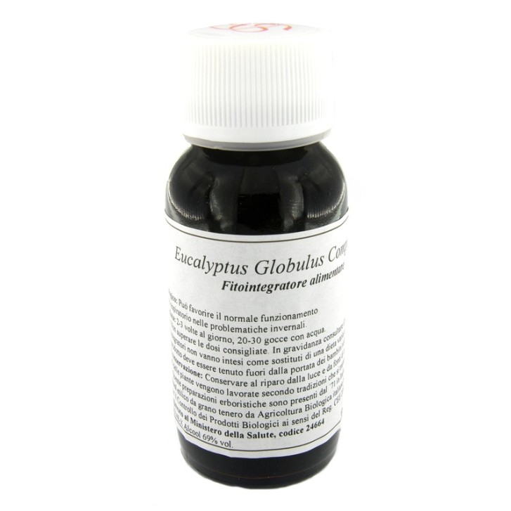 56S EUCALYPTUS GLOBULUS COMP LVS
