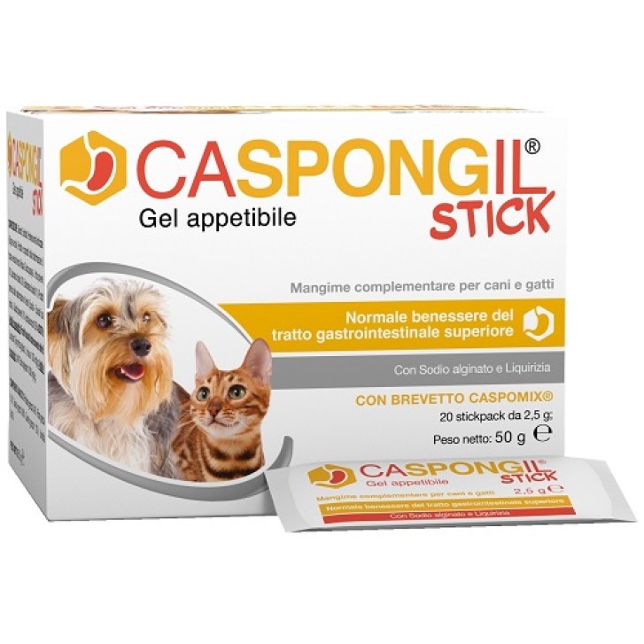 V CASPONGIL STICK GEL 20STICKPAC