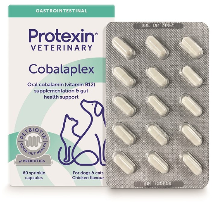 V COBALAPLEX 60CPS V COBALAPLEX 60CPS