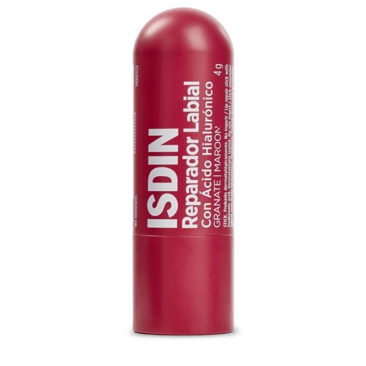 REPARADOR LABIAL MAROON BORGOGNA