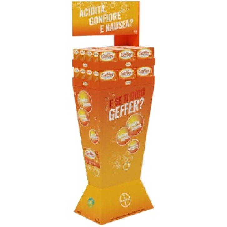 EXPO TERRA GEFFER GRAN 24PZ