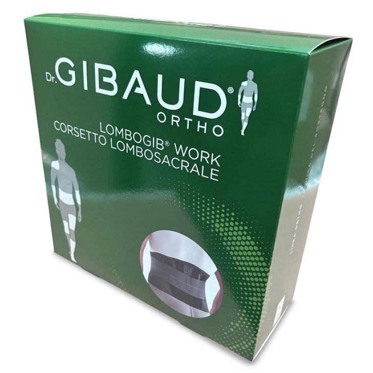 GIBAUD LOMBOGIB WORK H26 TG01
