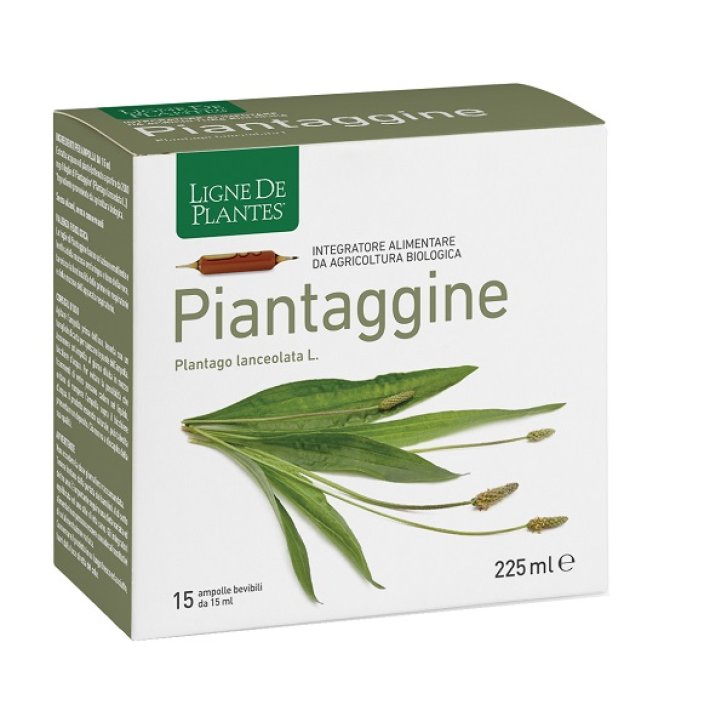 PIANTAGGINE 15AMP 15ML NATURA