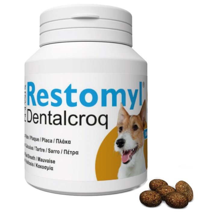 V RESTOMYL DENTRALCROQ CANE 60G