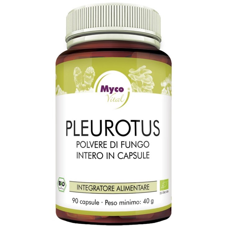 PLEUROTUS 90CPS N/F HIFAS DA TER