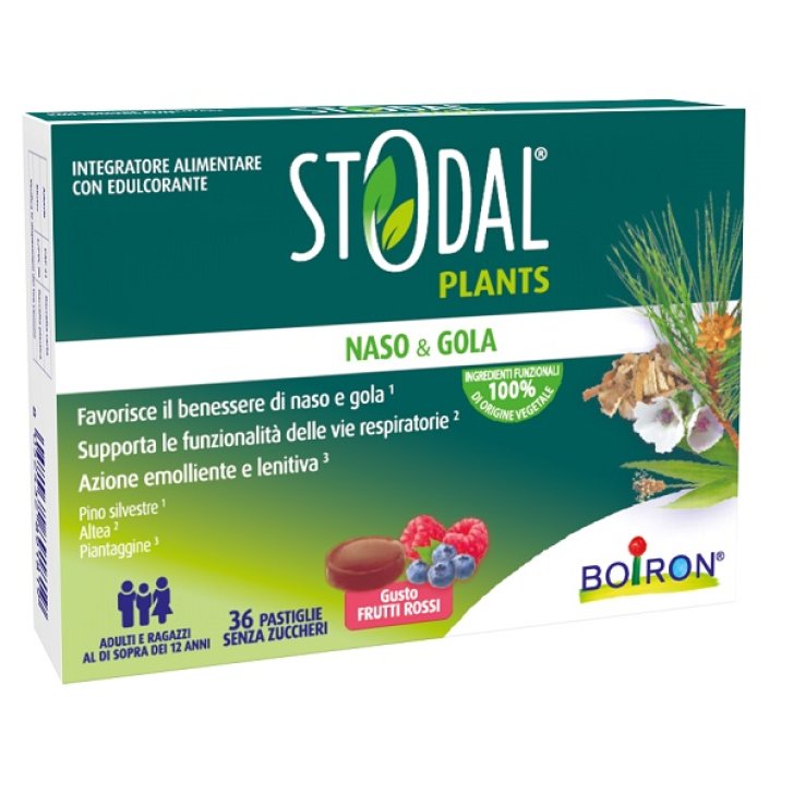 STODAL PLANTS FRUTTI RO 36PAST