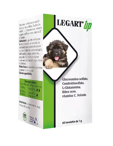 Legart Up Alimento Complementare Cani Gatti Articolazioni 120 Compresse - Aurora