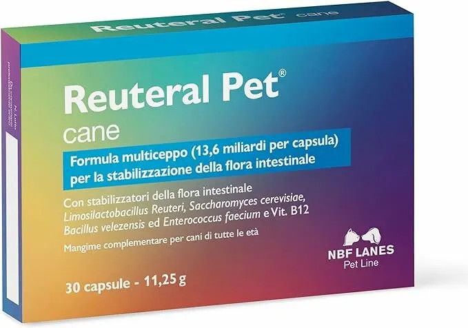 Reuteral Pet Cane Probiotici Integratore Benessere Intestinale Cani 30 Capsule - NBF Lanes