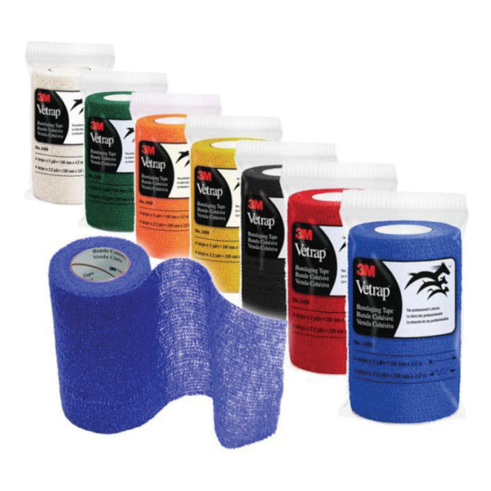 Fascia Elastica Rossa 5 cm - Vetrap