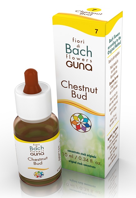 Guna Fiori di Bach Chestnut Bud gocce 10 ml