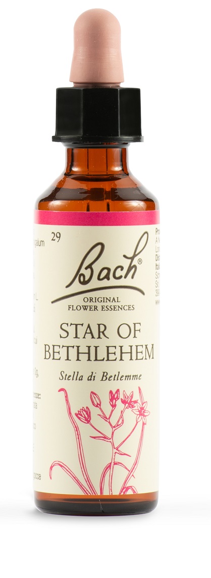 Schwabe Fiori di Bach 29 Star of Bethlem Gocce 20 ml