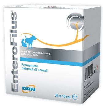 DRN Enterofilus mangime complementare per l'apparato digerente di cane e gatto 36 fiale da 10 Ml