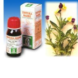VIOLA DEL PENSIERO 50ML TM SPE - Immagine 3