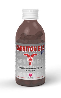 CARNITON-B12 PET 80CPR 80G