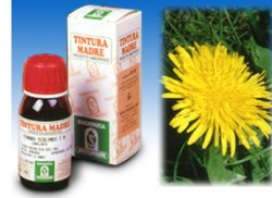 Specchiasol Sp.tarassaco Dens Leon.tm 50Ml - Immagine 6