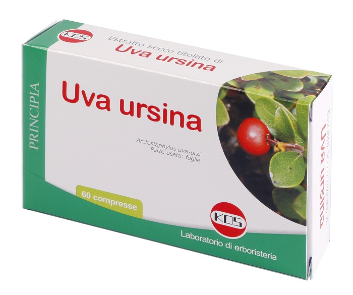 UVA URSINA E.S. 60 CPR 300MG K