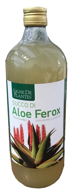 SUCCO ALOE FEROX BIO 1LT