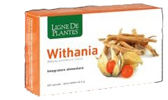 WITHANIA 60CPS NATURA SERVICE