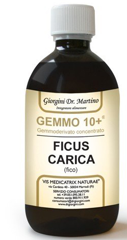 Dr. Giorgini Gemmo 10+ Fico Liquido Analcolico 500 Ml - Immagine 5