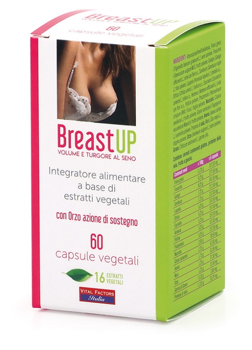 BREAST UP 60CPS