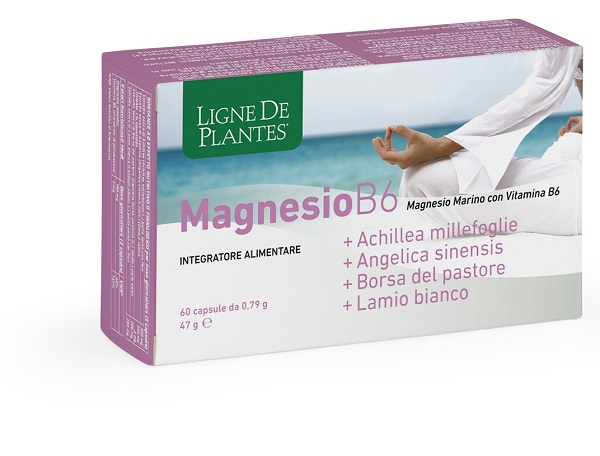 MAGNESIO B6+ACHILLEA+ANGELICA+