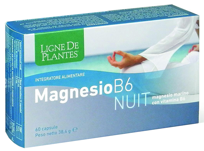 MAGNESIO B-6 NUIT 60CPS