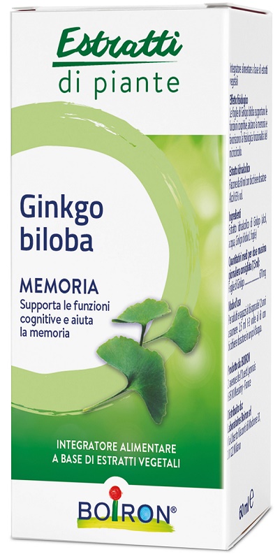 GINKGO BILOBA EI 60ML BO