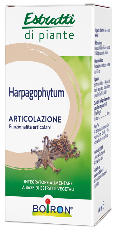 HARPAGOPHYTUM BOI EI 60ML INT