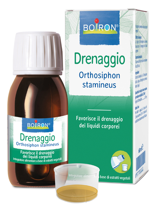 ORTHOSIPHON STA BOI EI60ML INT