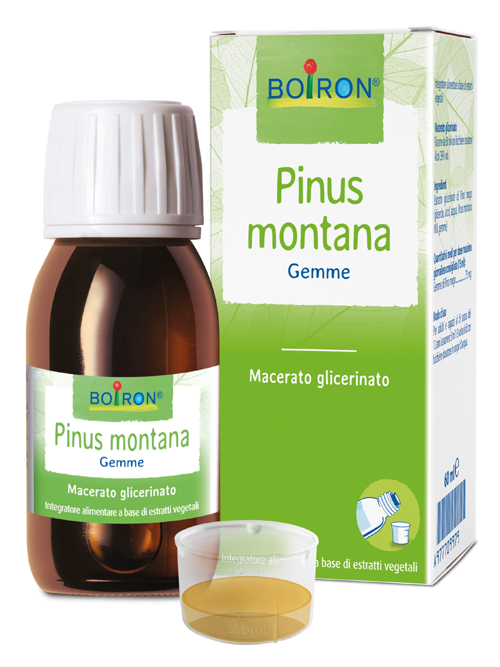 PINUS MONTANA BOI MG 60ML INT