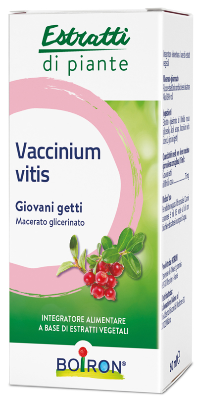 VACCINIUM VITIS BIO MG60ML INT