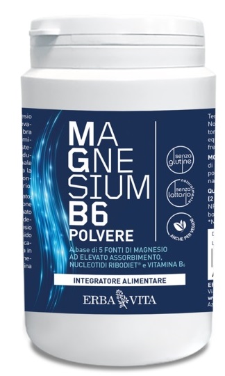 MAGNESIUM B6 POLV 200GR ERBA V