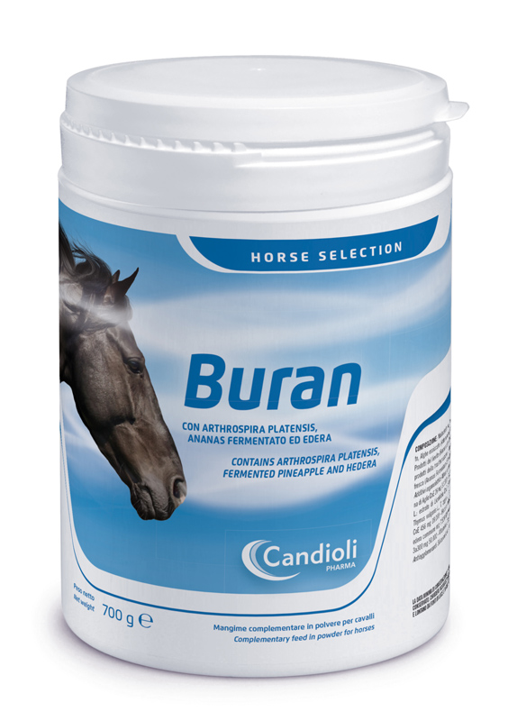 BURAN 700 GR