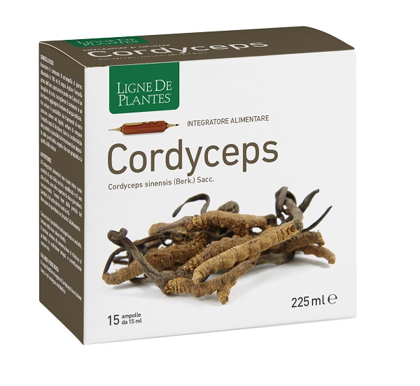 CORDYCEPS 15AB 15ML - Immagine 2