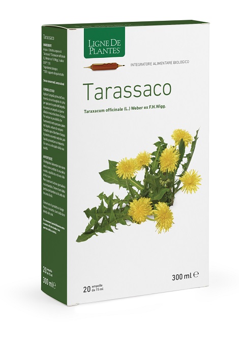 TARASSACO 20AB 15ML - Immagine 4