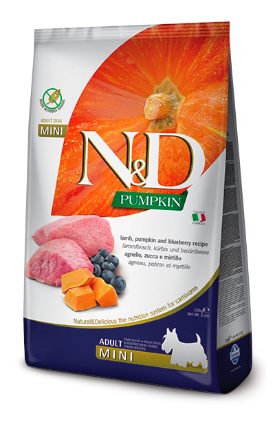 N&D PUMPKIN ADULT MINI AGNELLO