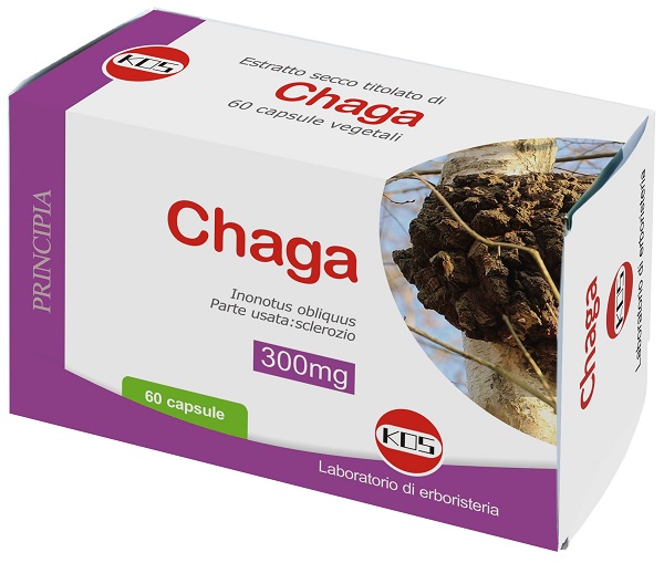 CHAGA FUNGO ES 60CPS