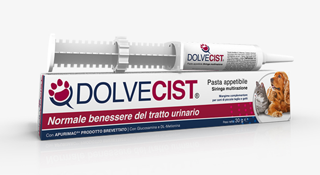 DOLVECIST PASTA SIRINGA 30G VET
