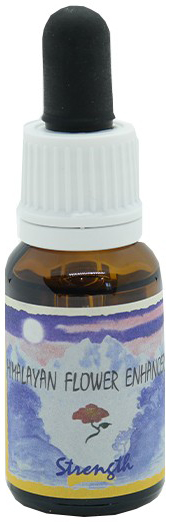 STRENGTH ESSENZA 15 ML 1 PEZZO