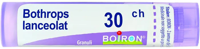 BOTHROPS LANCEOLATUS 30CH GR