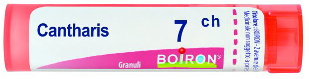 CANTHARIS 7CH GR