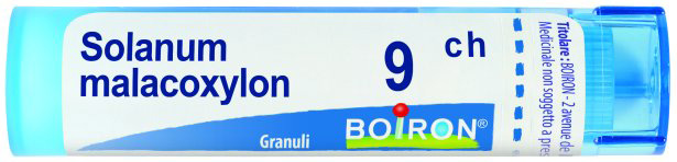 SOLANUM MALACOXILON 9CH GR