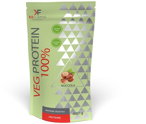 VEG PROTEIN100% NOCCIOLA 480G