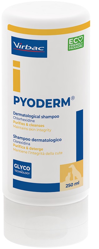V PYODERM SHAMPOO 250ML