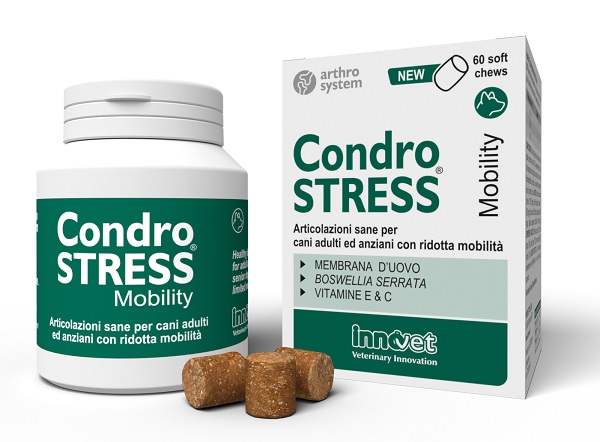 V CONDROSTRESS MOBILITY 60 SOFT