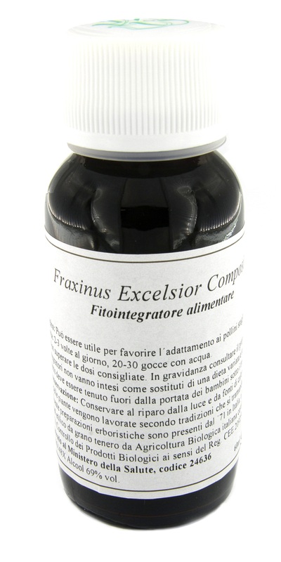 22N FRAXINUS EXCELSIOR COM LVS