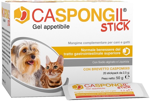 V CASPONGIL STICK GEL 20STICKPAC
